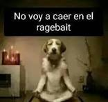 Eljaison tweet media