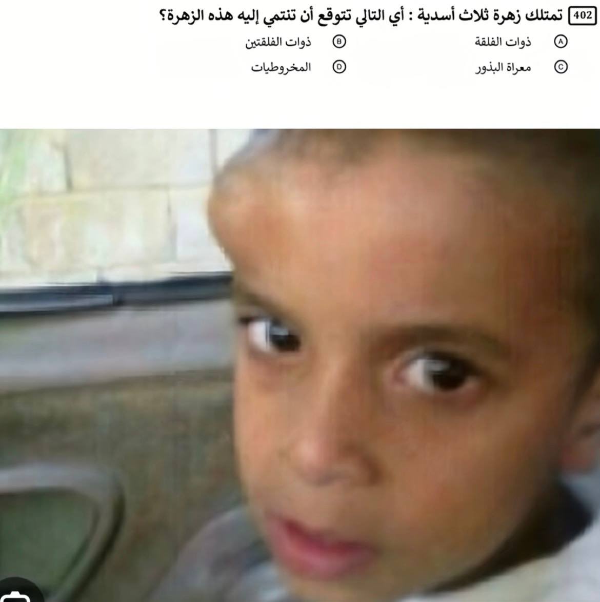 سونا tweet media
