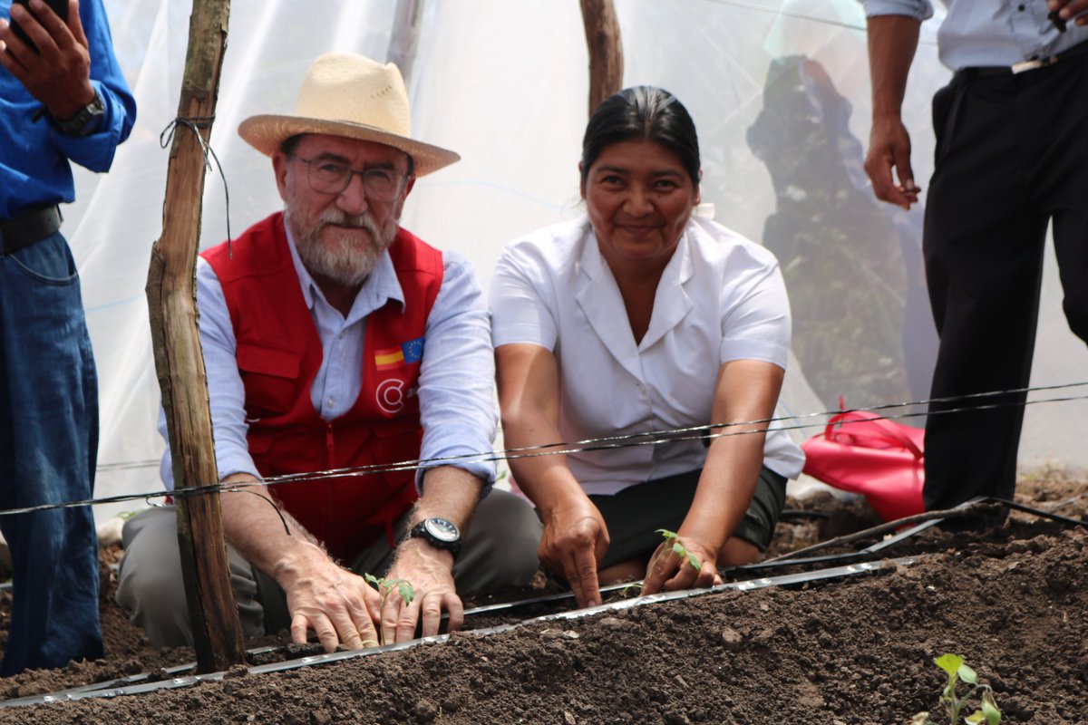 AECID Honduras tweet media