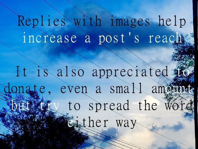 wlwLeoanzu's tweet image. X regularly silences Palestinian voices, please share this link to help boost Shereen's reach #Palestine #Gaza #BOOST #GFM #GOFUNDME #GAZAHOLOCAUST #GAZAGENOCIDE #CHUFFED #GAZASTARVING #GAZANEEDSBREAD #IMPORTANT #HELP #URGENT #FREEPALESTINE #PALESTINEGENOCIDE #MutualAidBoost