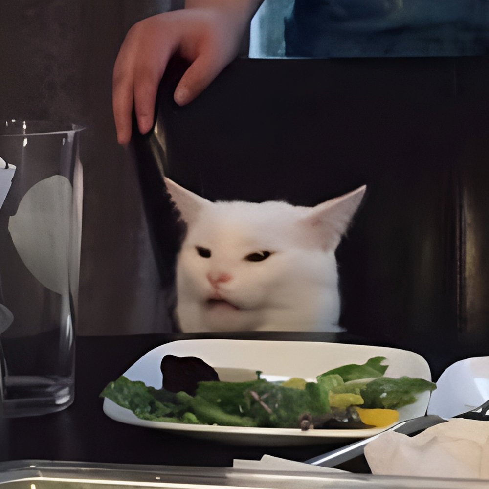 SmudgeCat tweet media