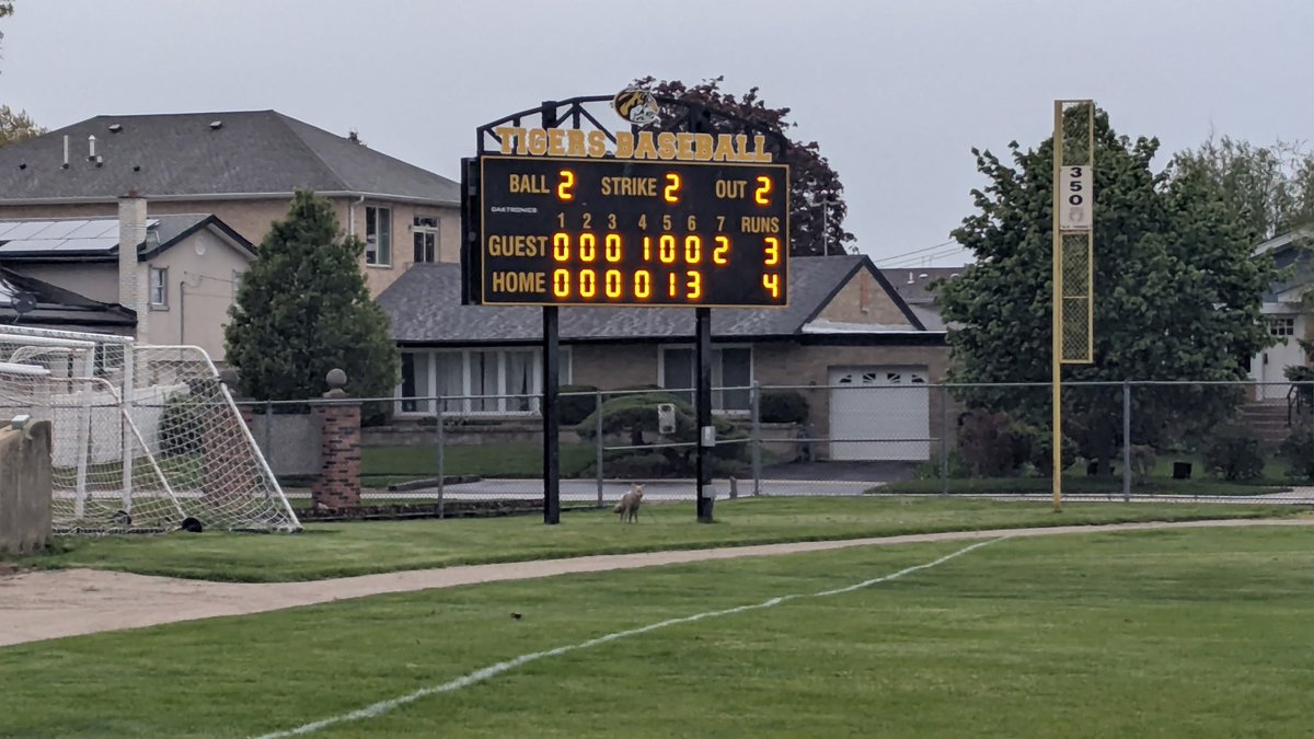 EPHSathletics's tweet photo. TIGERS WIN over West Aurora 4-3! Soph pitcher Zach Andersen threw 6.1 innings, gave up 2 runs on 3 hits for the victory! Jr. Leo Chan closed it out for the save! Sr. Leon Solarczyk with an RBI double, Soph Mike Murphy w/RBI single, and Sr. Doug Williams had crucial 2-run single! https://t.co/cQrHkYk5SF