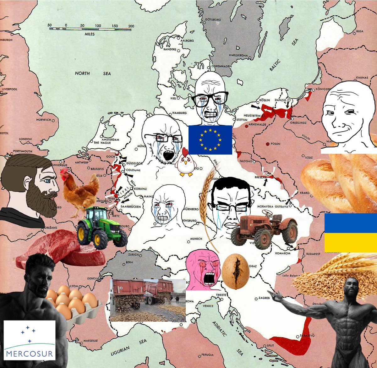 Kat🇻🇪🇦🇷🇺🇦🇸🇾🇬🇪🇵🇸🇨🇺🇲🇲🇮🇷🇸🇩🇹🇼 tweet media
