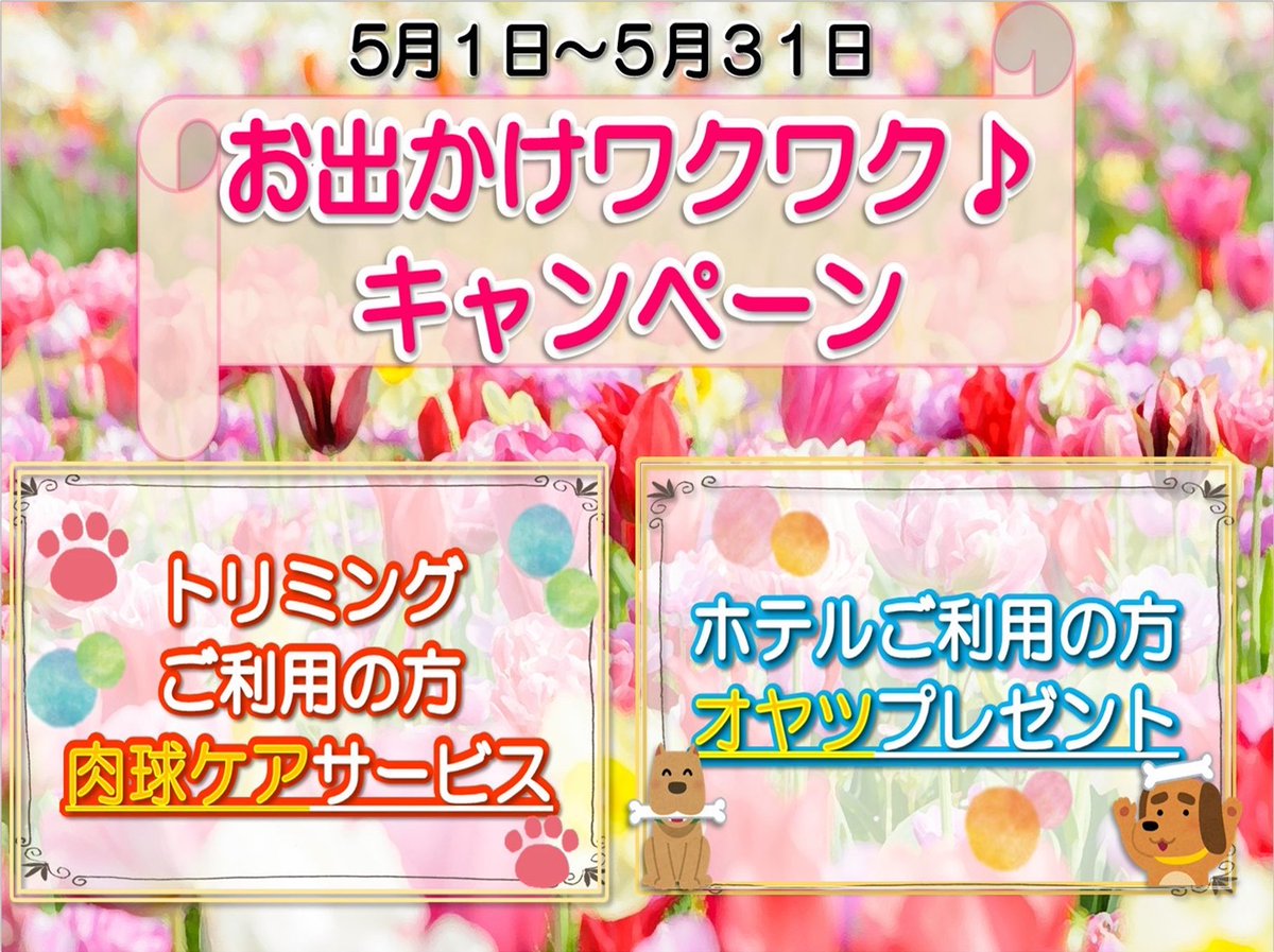 petsalonhug's tweet photo. 5月は連休があったり
 
気温が暖かくなったりと
 
ペットとのお出かけの機会も多くなりますね✨

ペットサロンHugでは
 
そんな５月にピッタリのイベントを用意しております！
 
５月１日～５月３１日まで
 
『お出かけワクワクキャンペーン✨』
 
を開催致します❣ https://t.co/UM0pZHdc2i