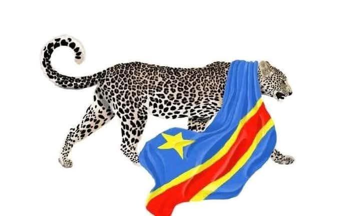 GISARO🇨🇩❤️ tweet media