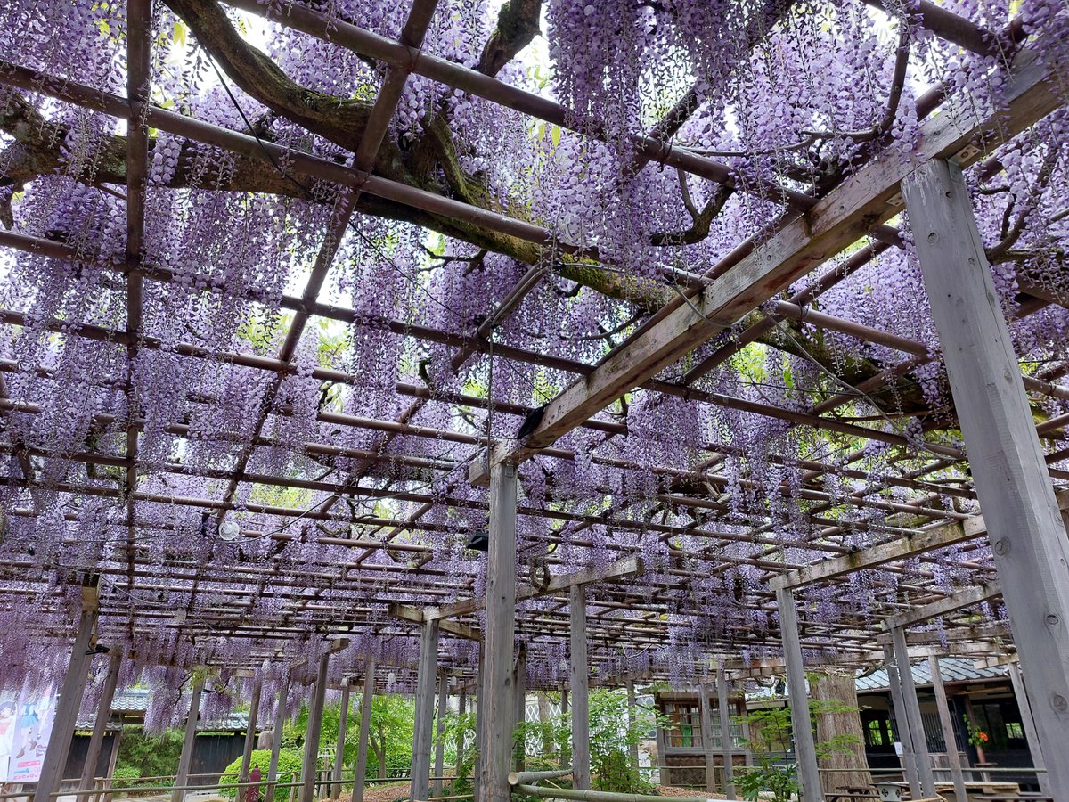 豪農の館 北方文化博物館 tweet media
