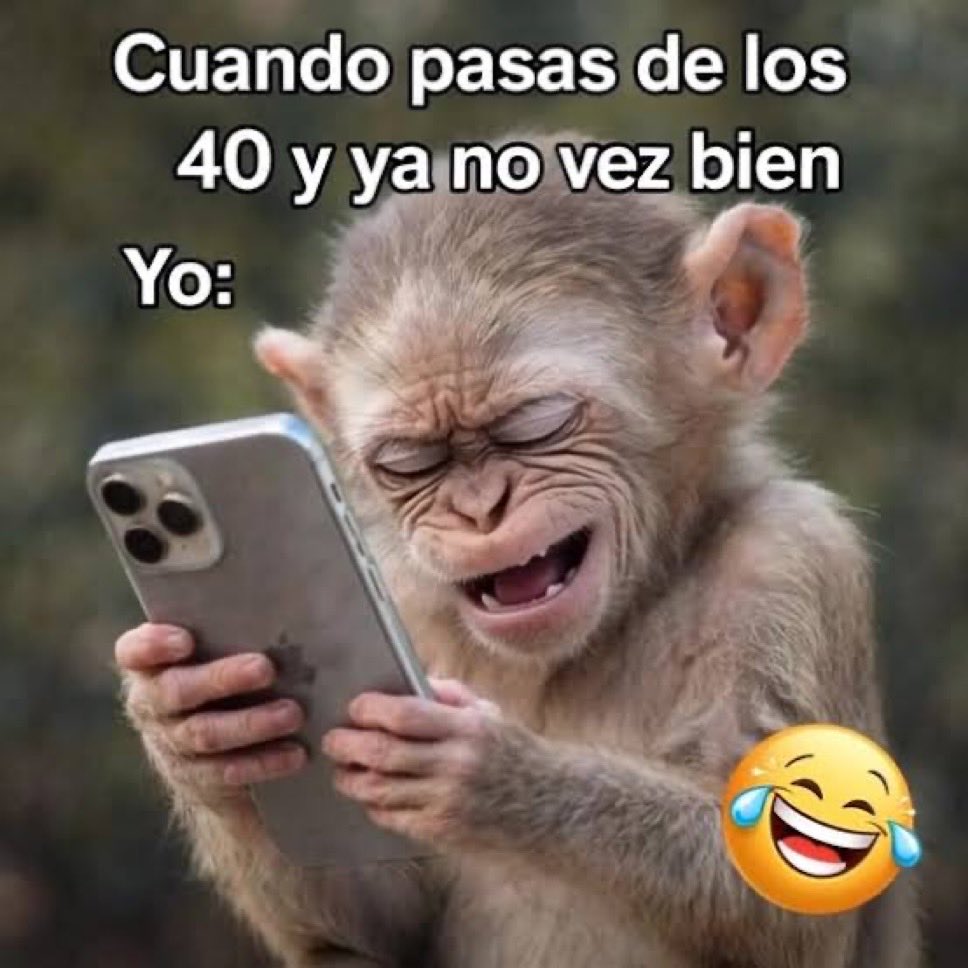 Fabiolacarolina tweet media