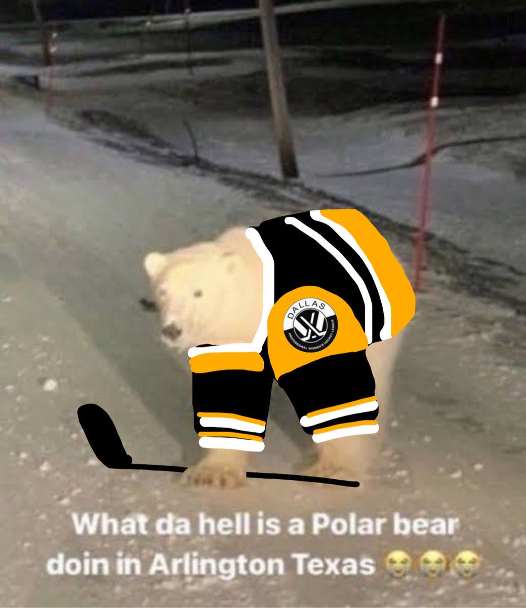 levi 🏒🥌 tweet media