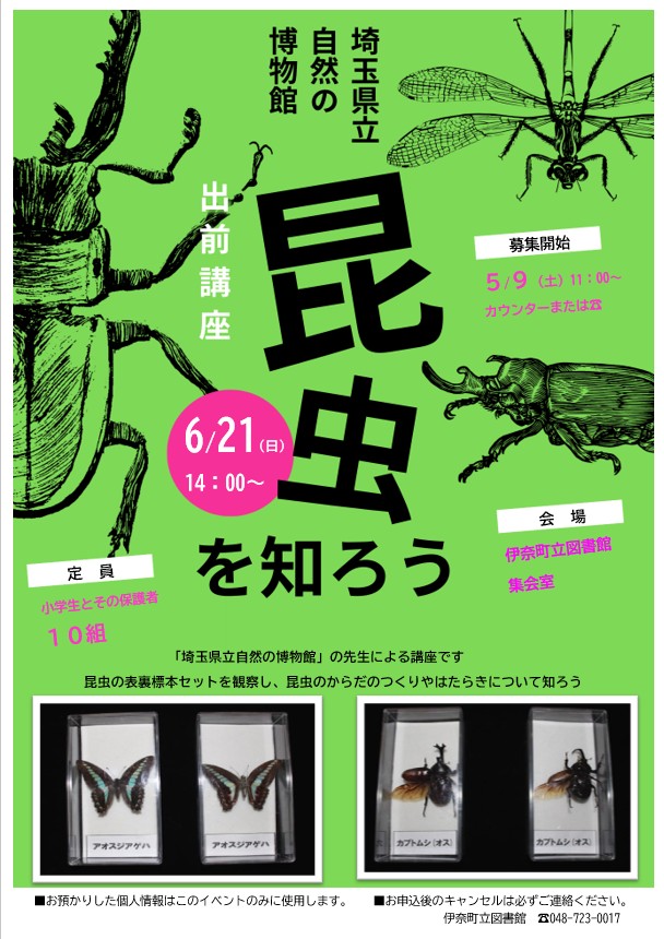 埼玉県立自然の博物館の先生が昆虫標本セットを持ってきてくれます