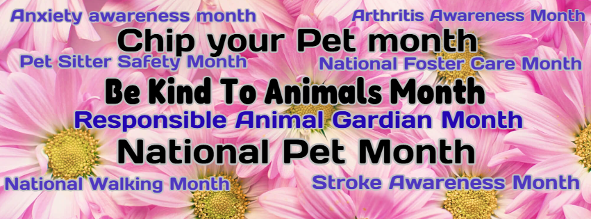 Because of Jim/Wild Serenity Cat Rescue Fund tweet media