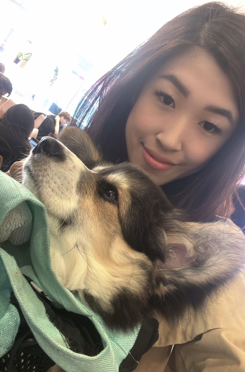 Erika Lee tweet media