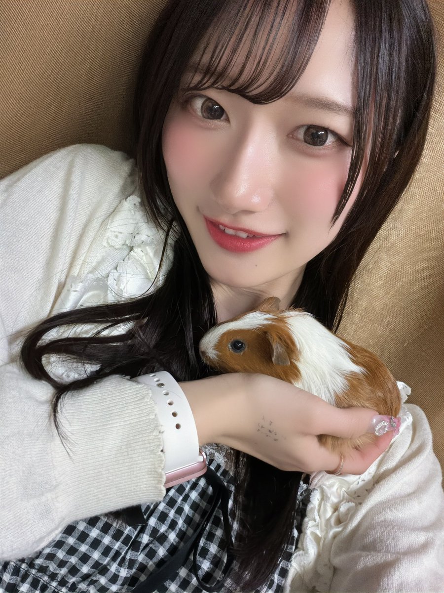信野樹奈🥨Teamくれれっ娘！ tweet media