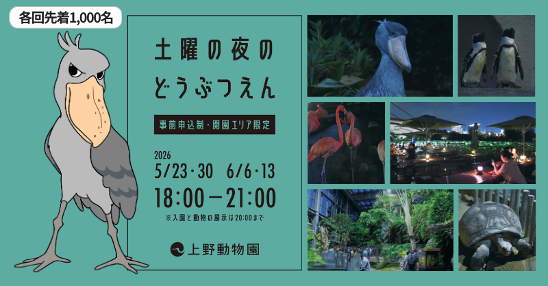 東京都 観光 tweet media