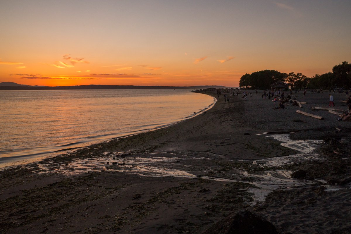 Seattle Parks tweet media