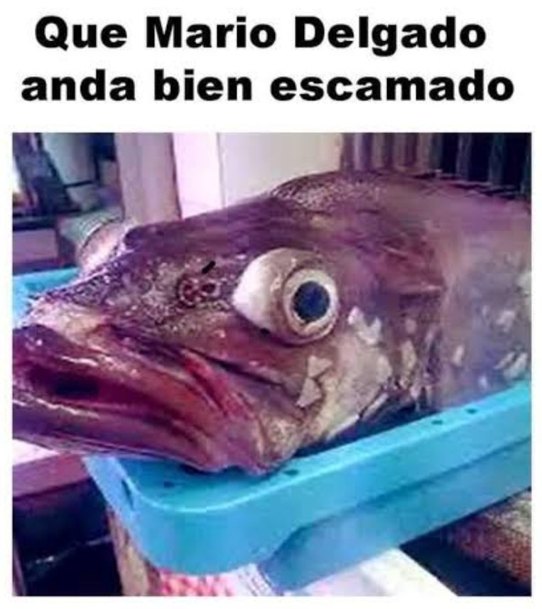 Fernando S. Razo tweet media