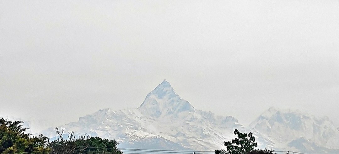 ५ दिनपछि देखियो।
