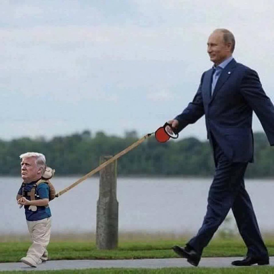 MyBookPublisher's tweet photo. @pirittapoikonen @Kasparov63 @PanzShepherd https://t.co/GLfXas8wR9