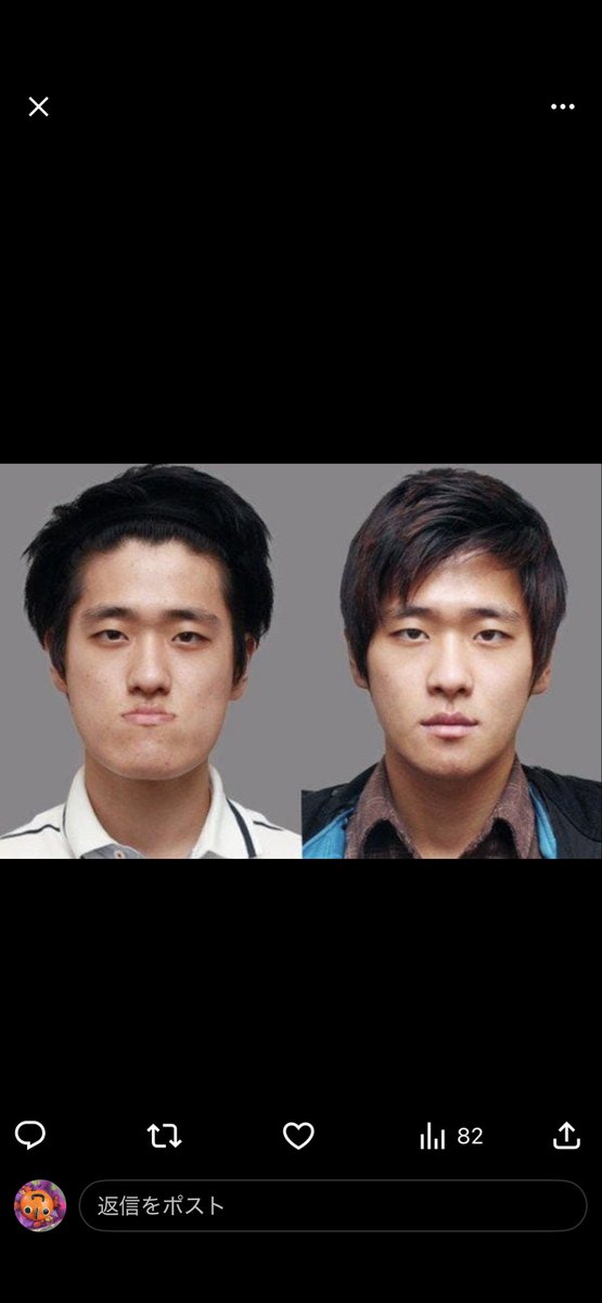 ポチ太 tweet media
