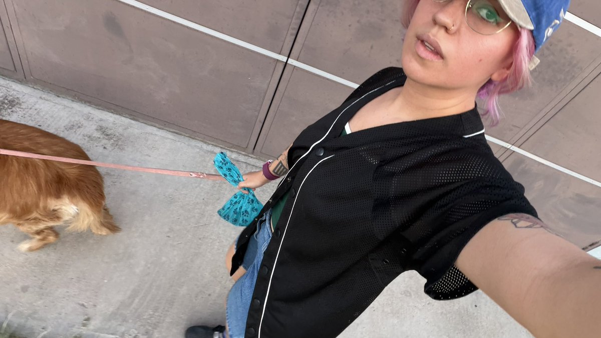 I must dress like a gay boy to walk my dog