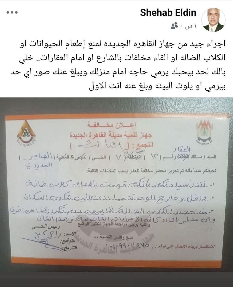 Amina Tharwat Abaza tweet media