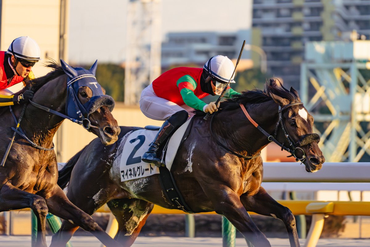 えりか ✩ 光の園児ꕤ*.ﾟマナDC tweet media