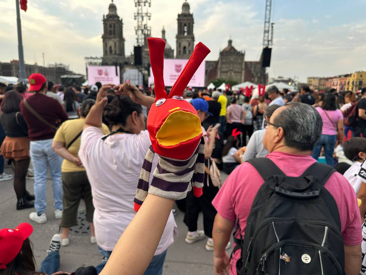 Webcams de México tweet media