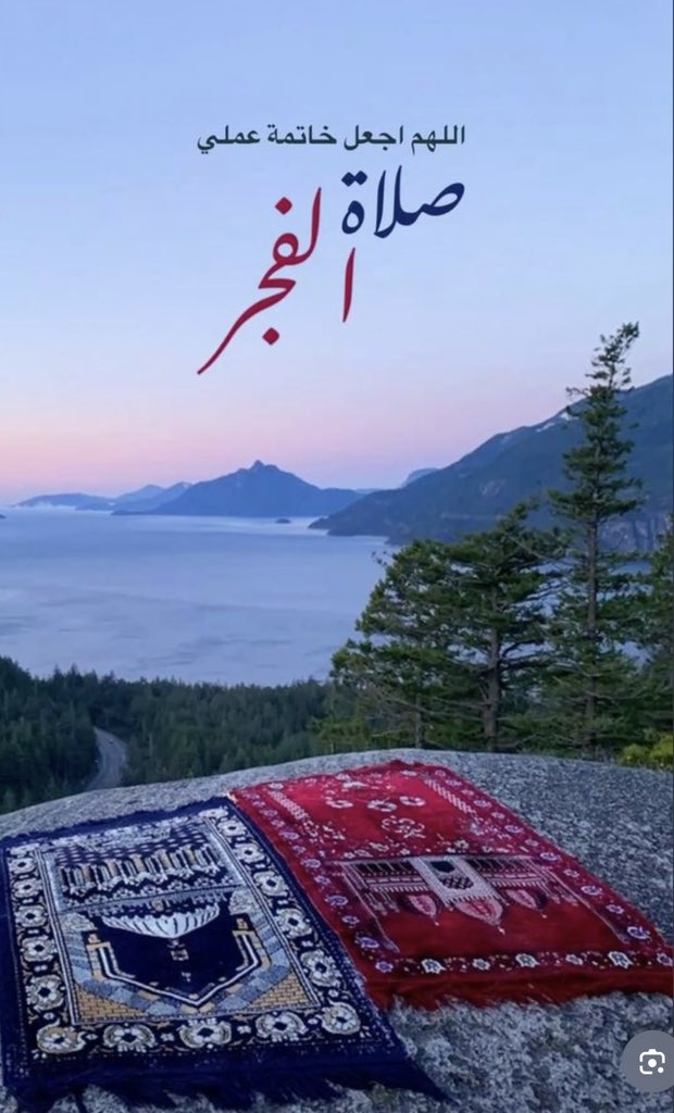 🦌🇦🇪M راعية العوايد tweet media