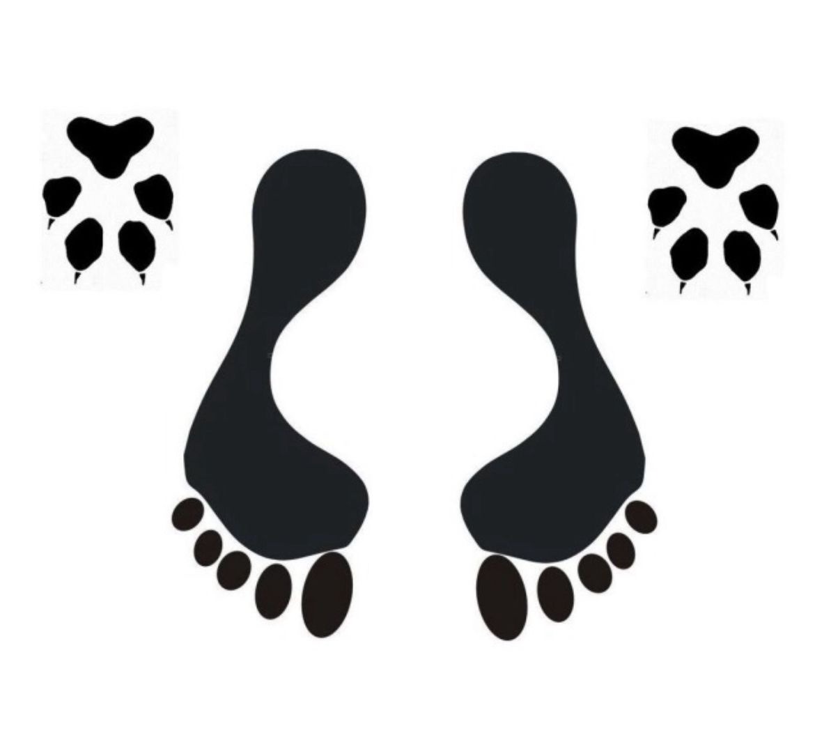 LPearl87297's tweet photo. I need my dog to let his tongue flop out and cover me in the sloppiest, most disgusting, drool-drenched licks imaginable. Make it nasty
#buying newds #cnc knotty #k9 dogs #knot tying #knotty #knottybaby #knottybitch #knottypinebarndoors #knottykink #dogknotting #k9 unit #knotty https://t.co/R9JmyF1ADG