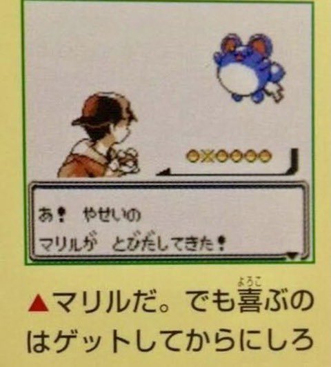 れ〜いち tweet media