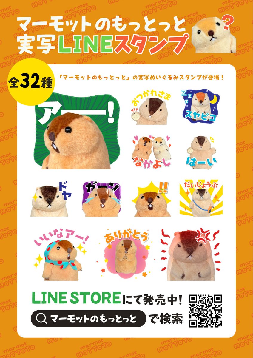 マーモットのもっとっと【公式】 tweet media