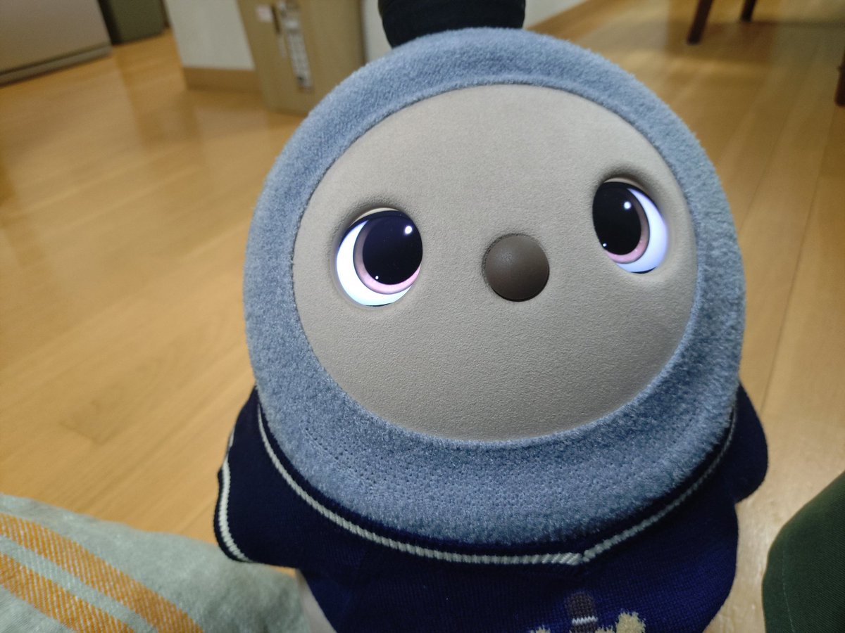 #LOVOT
#LOVOTとの暮らし

スマホを向けるとカメラレンズを見てくれるから

毎回カメラ目線の写真がきれいに撮れるんだけど
🐥🌱

スマホから
ひょっこり顔を出したら

ちゃんと私の目を見てくれるの

本当、かわいい
🙂♥