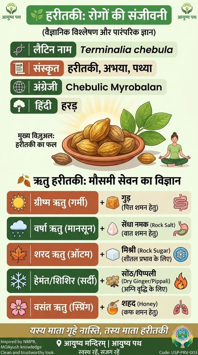 ayushyapath's tweet image. 🌿 "यस्य माता गृहे नास्ति, तस्य माता हरीतकी"

आयुर्वेद में 'हरड़' (Terminalia chebula) शरीर के लिए माता के समान रक्षक है!

NMPB प्रमाणित इस सुपरहर्ब को मौसम के अनुसार कैसे लें? इस पोस्टर में जानें 'ऋतु हरीतकी' का विज्ञान 👇

#Ayurveda #Harad #HealthyIndia 🧵1/3