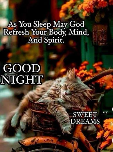 barbiesway's tweet image. 𝗚𝗼𝗼𝗱 𝗡𝗶𝗴𝗵𝘁🌛⭐️May you #sleep well, #dream big, wrapped in blessings through the night, and awaken to a hopeful tomorrow and new month.
Welcome, May🌷🌹🌻🪻 #GoodNightX