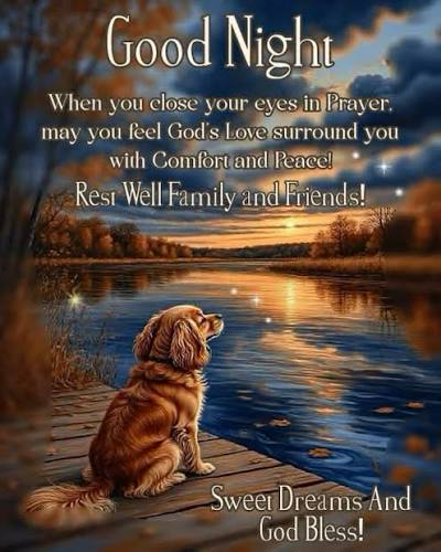 barbiesway's tweet image. 𝗚𝗼𝗼𝗱 𝗡𝗶𝗴𝗵𝘁🌛⭐️May you #sleep well, #dream big, wrapped in blessings through the night, and awaken to a hopeful tomorrow and new month.
Welcome, May🌷🌹🌻🪻 #GoodNightX