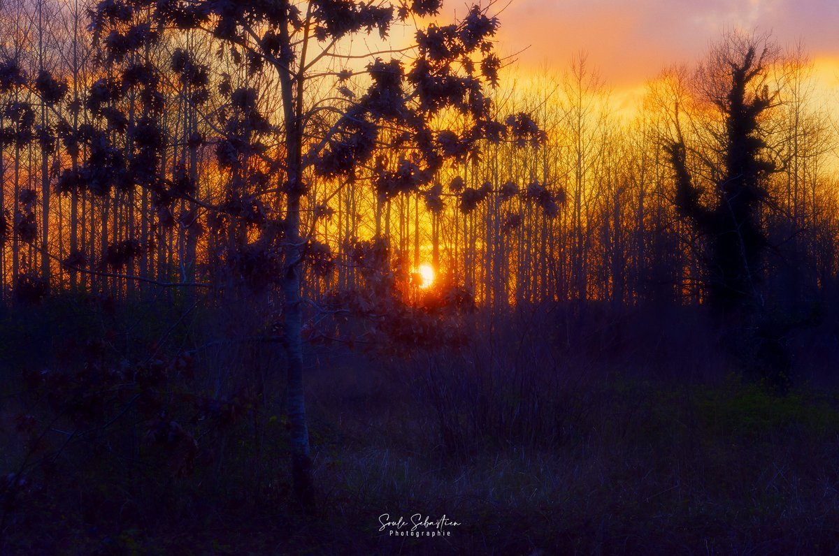 Valgone_photo's tweet image. C'est une question d'ambiance. It's a question of atmosphere.
#sunsetphotography #photographyIsArt