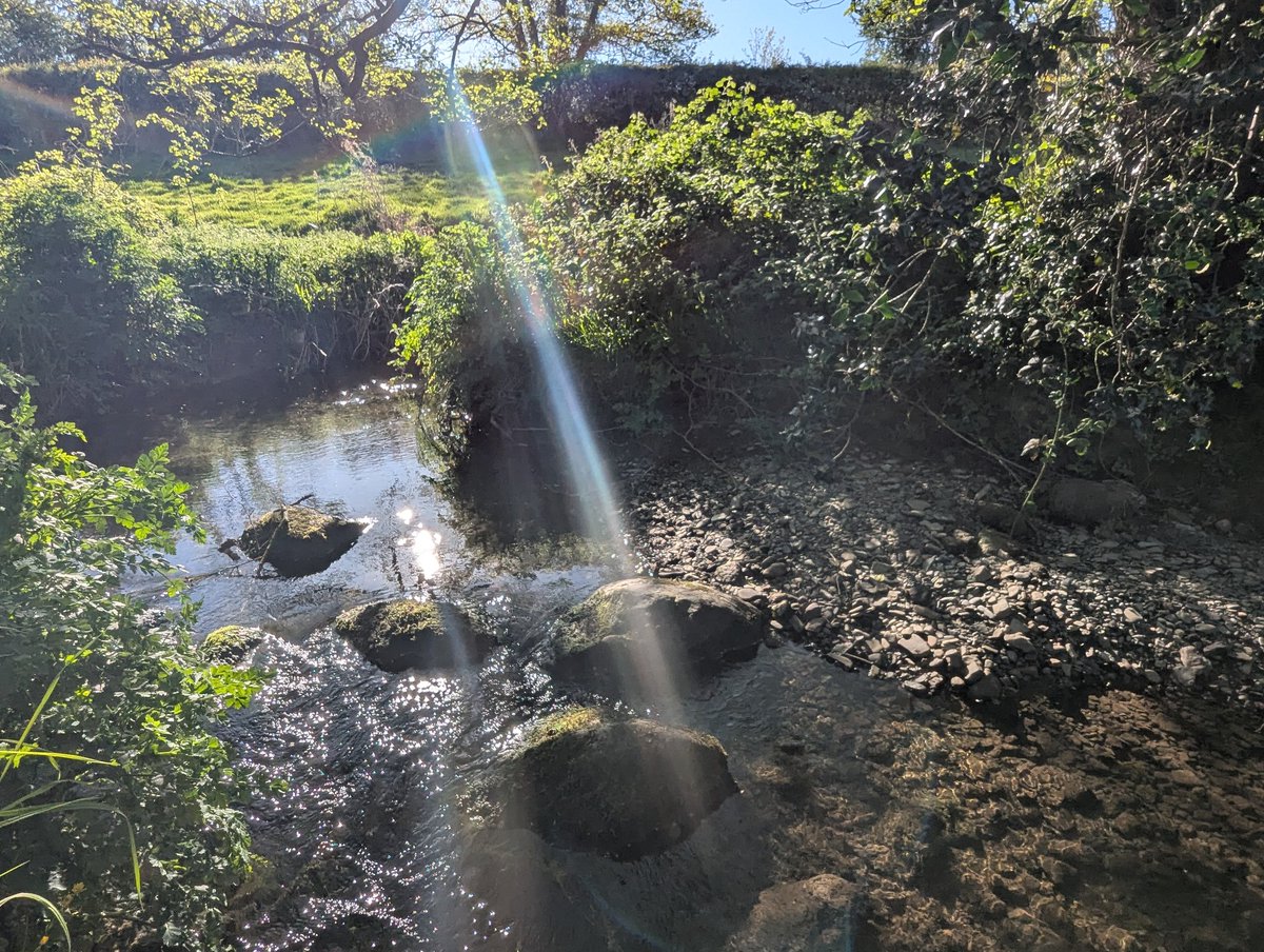 Dooooooobs's tweet photo. Morning walk https://t.co/o8ZDIXh0GL
