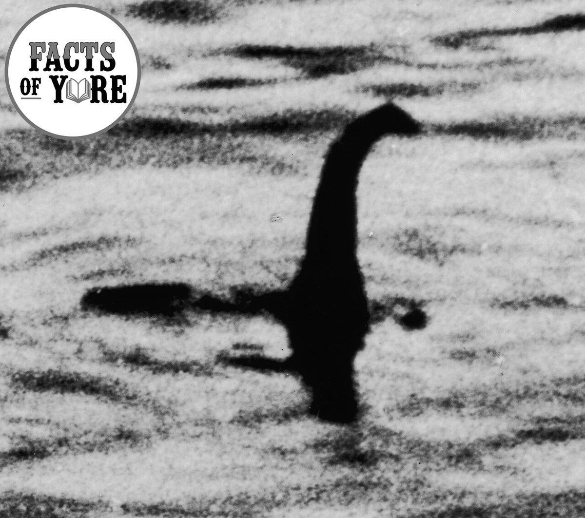 factsofyore's tweet image. On this day in 1933, the legend of the #LochNessMonster is born when a sighting makes local news. The newspaper #InvernessCourier relates an account of a local couple who claim to have seen “an enormous animal rolling and plunging on the surface.” 

#TodayInHistory