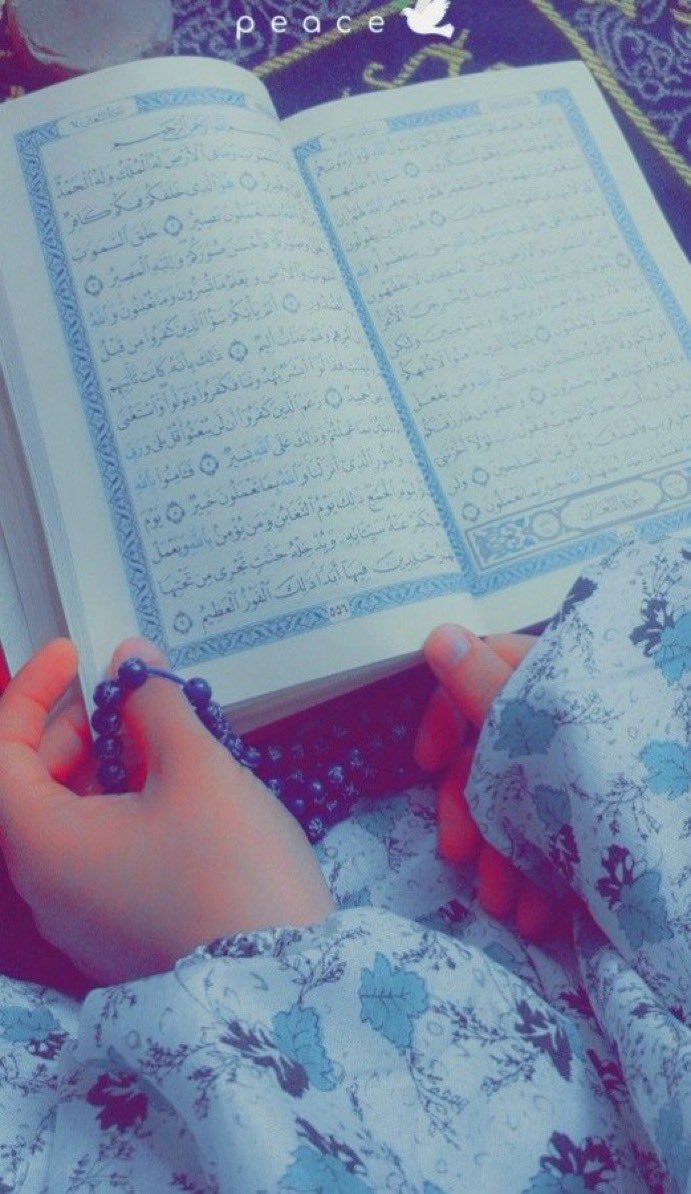 عائشة المعماري tweet media