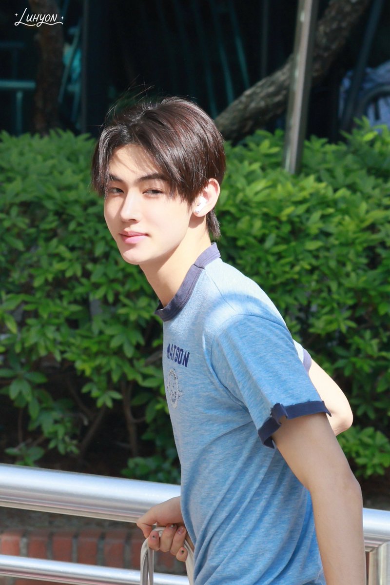 LUHYON tweet media