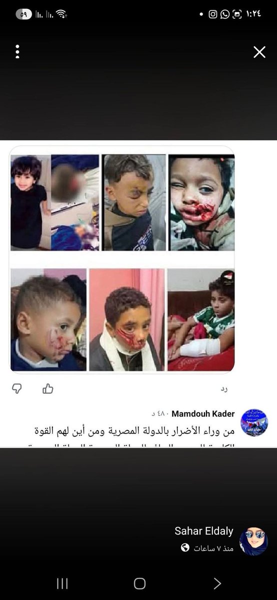 Amina Tharwat Abaza tweet media