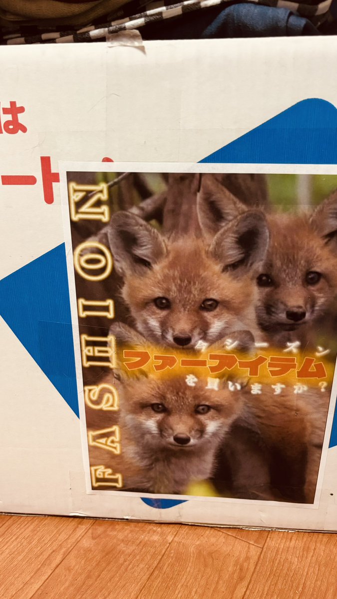 A protest against the fur industry—even through parcel delivery.
She sticks protest leaflets on the parcel box.
Until it reaches my door, victims of the fur trade pass through many hands, many eyes—
even if only for a moment.

A friend who campaigns to end the fur trade sent