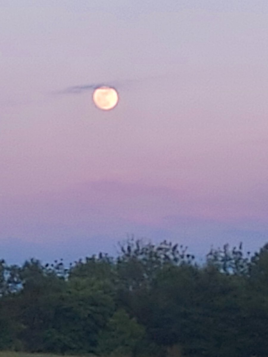 JakeMorgan59091's tweet image. Just pics of the#Moon🌕🌙 tht I took little bit ago which is really neat too see n look at whenever it's bright n Full Moon Like , but neat too see...2026

#CounTrySide🤠🇺🇸🦌
#Merica🇺🇸🇺🇸🇺🇸
#YeeYee🦌🇺🇸🦃🎣
#USA🇺🇸🦅