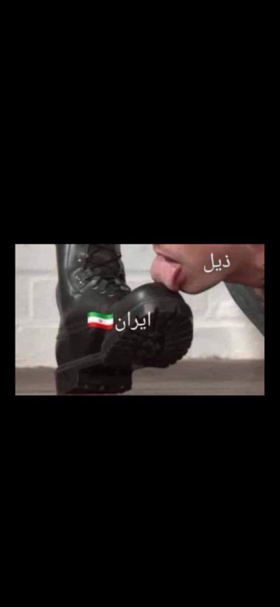 شلفا 🇸🇦 tweet media