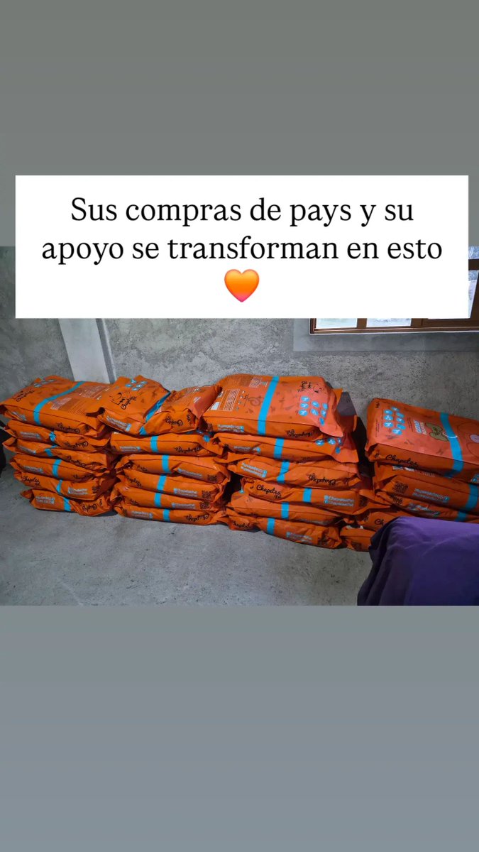 Fundación Toby tweet media