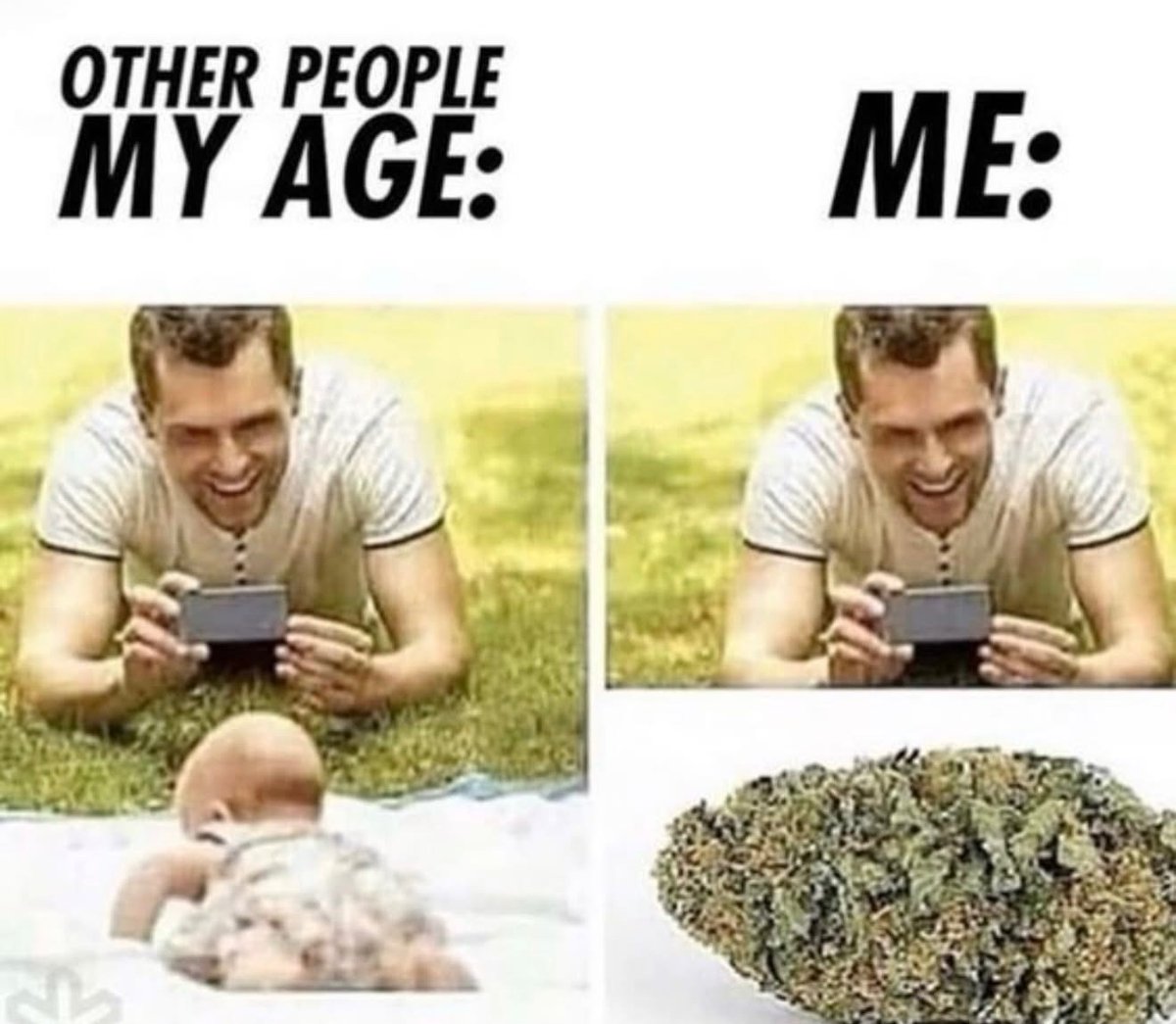 🤣🤣🤣