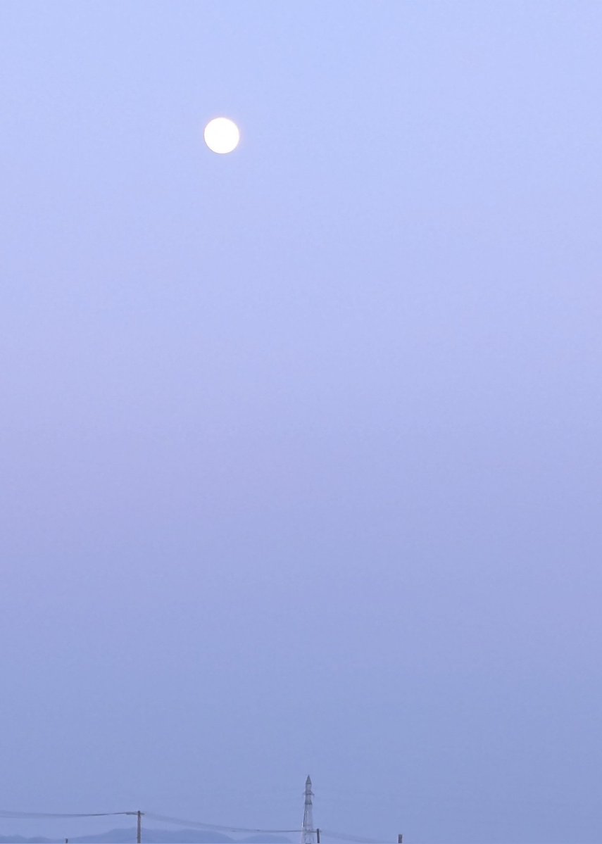 昨日仕事帰り目の前に見えた夕日(車を止めて📷✨)と家に着いて見えた月🌕がどちらも綺麗だった✨
夕日の画面が若干汚いのは黄砂のせい💦
朝日に向かって出勤し夕日に向かって退勤するのは気分が良いんだよね〜😊