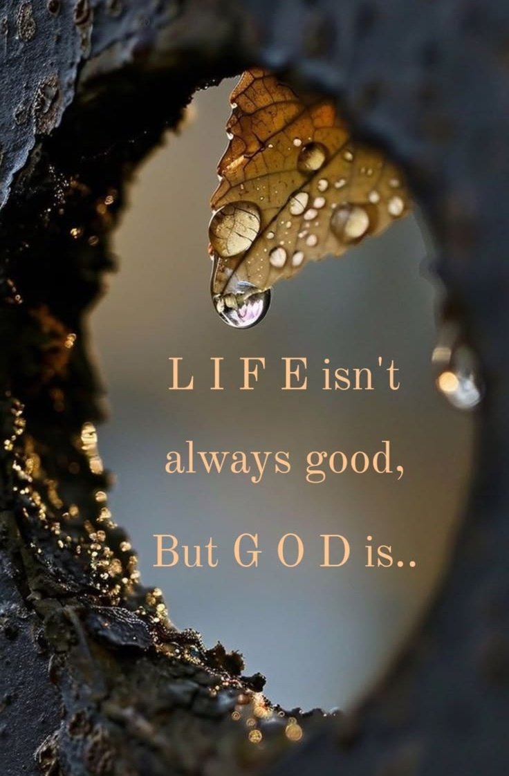 Dipti_2205's tweet image. #Gratitude ✨💫🙏