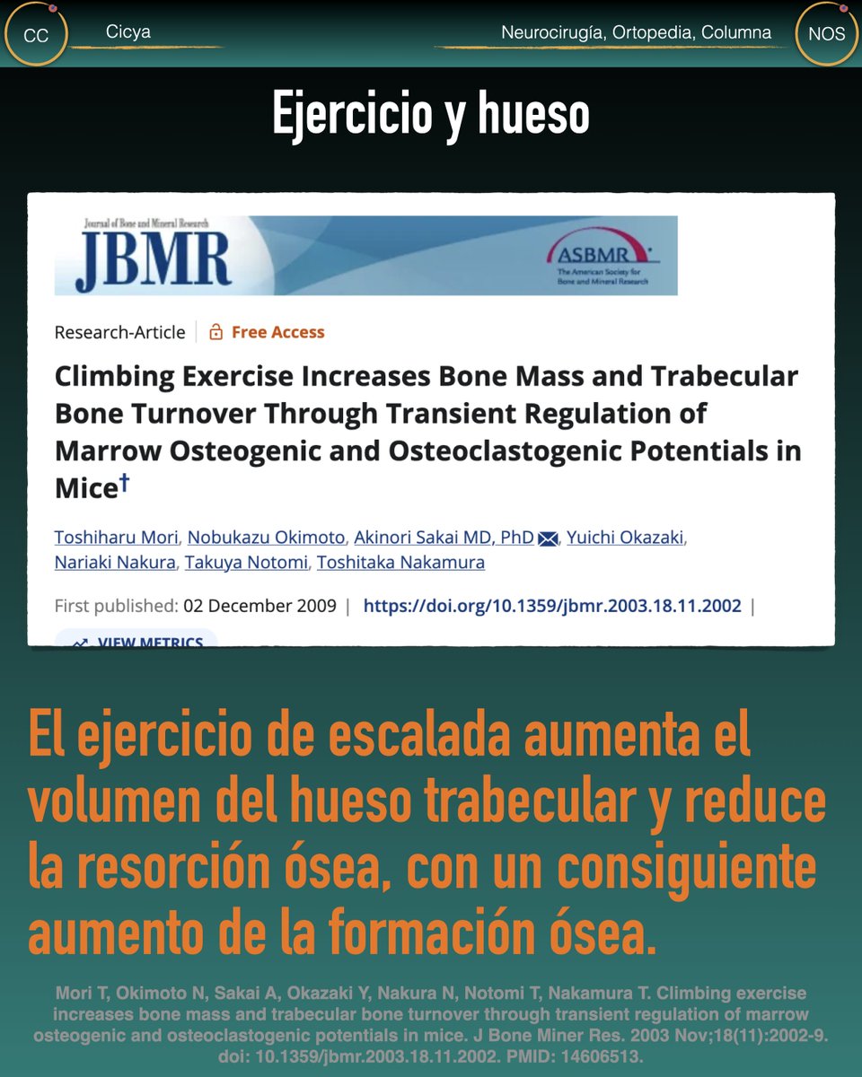 Jorge Luis Olivares Camacho tweet media