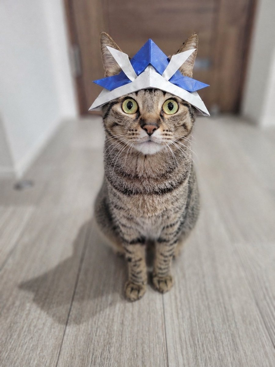 しぴこめᓚᘏᗢ tweet media