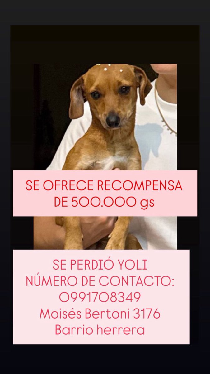 Favor rt
